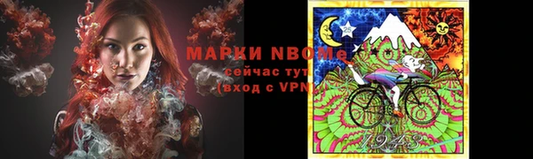 шишки Алзамай