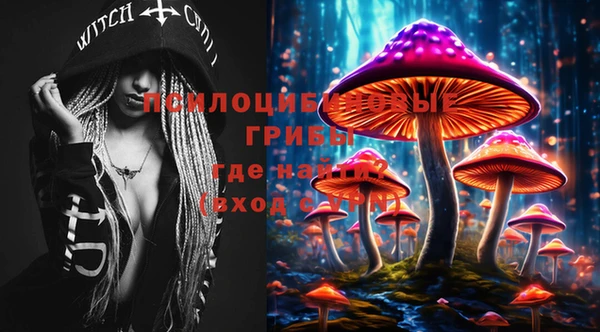 шишки Алзамай