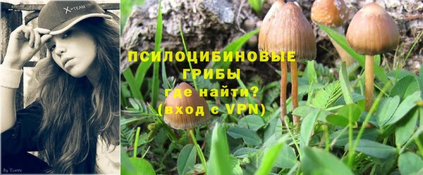 спиды Алексеевка