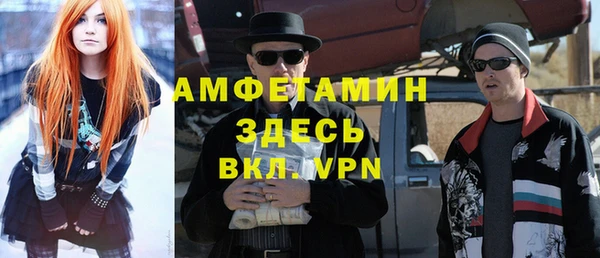 шишки Алзамай