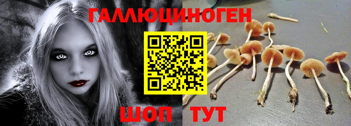 Псилоцибиновые грибы Magic Shrooms  Вход с VPN  Шахты 