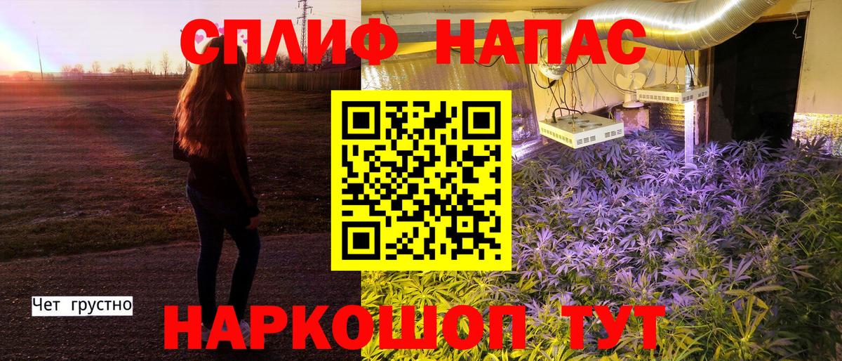Марихуана сатива Шахты